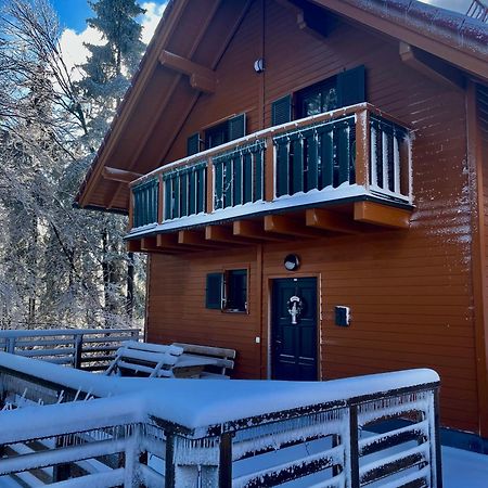 Chalet Anra Pohorje Zgornje Hoce エクステリア 写真