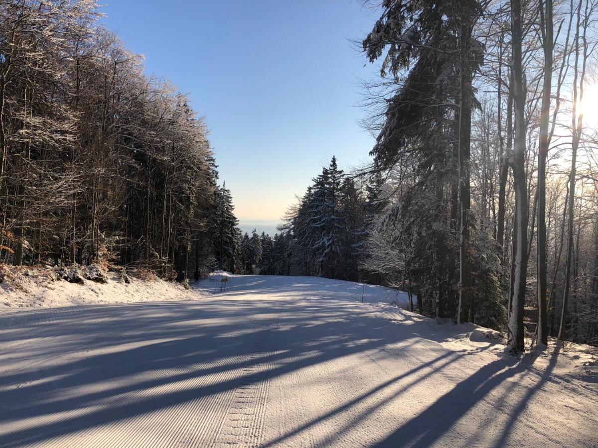 Chalet Anra Pohorje Zgornje Hoce エクステリア 写真