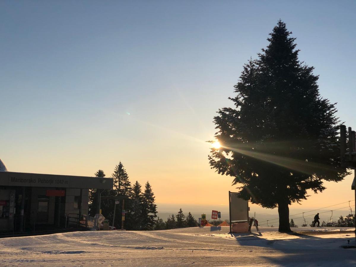Chalet Anra Pohorje Zgornje Hoce エクステリア 写真