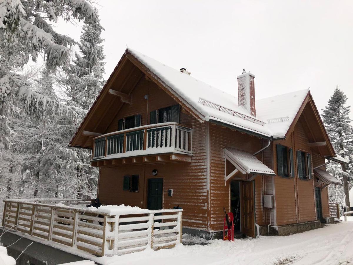 Chalet Anra Pohorje Zgornje Hoce エクステリア 写真