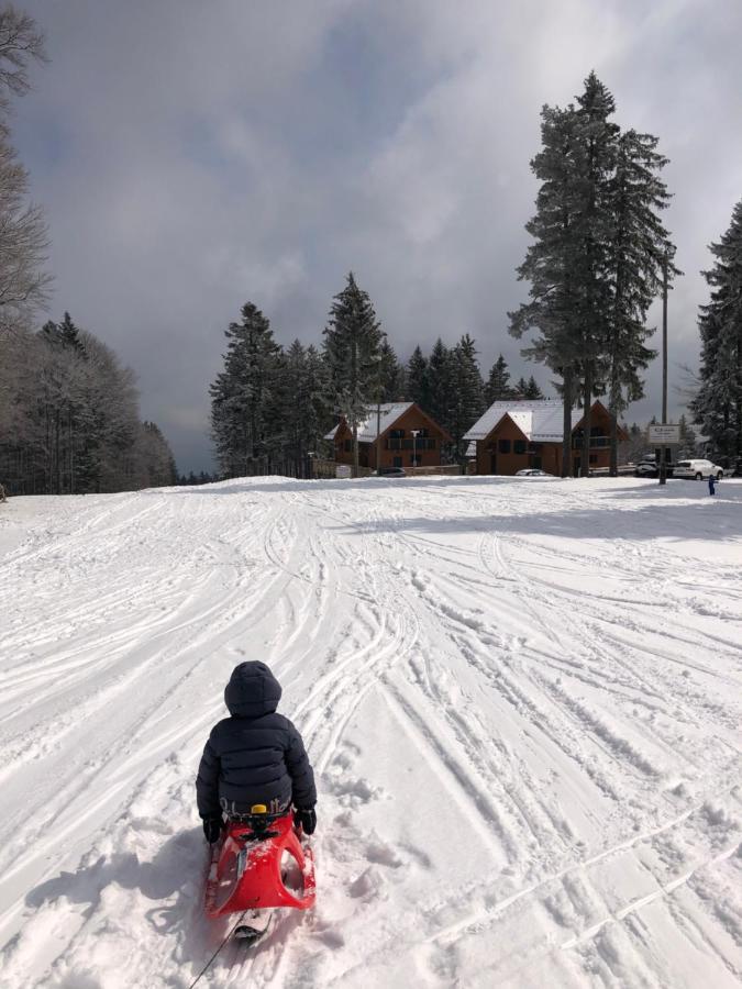 Chalet Anra Pohorje Zgornje Hoce エクステリア 写真