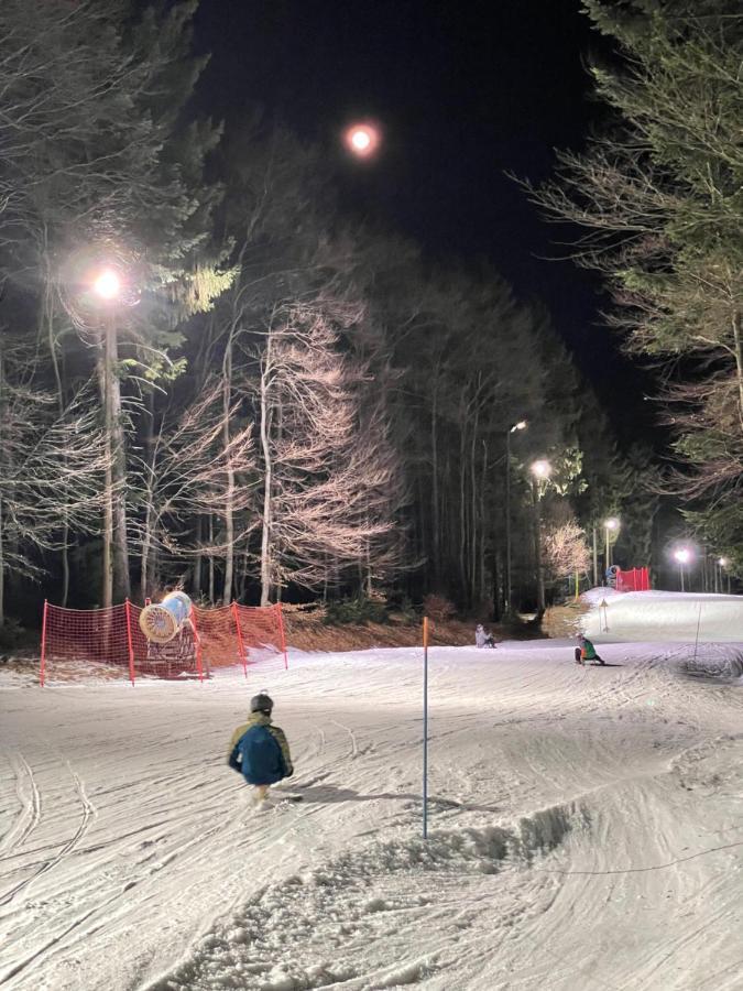 Chalet Anra Pohorje Zgornje Hoce エクステリア 写真