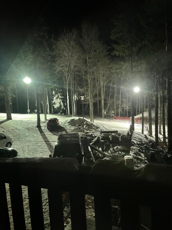 Chalet Anra Pohorje Zgornje Hoce エクステリア 写真