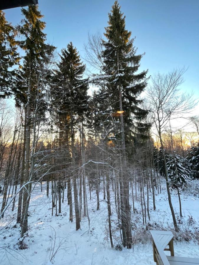 Chalet Anra Pohorje Zgornje Hoce エクステリア 写真