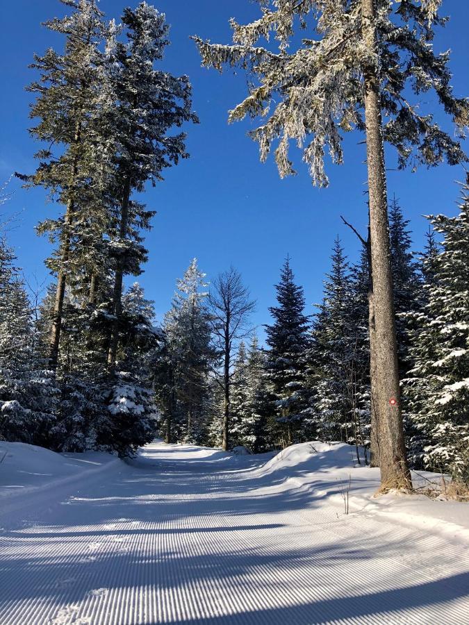 Chalet Anra Pohorje Zgornje Hoce エクステリア 写真