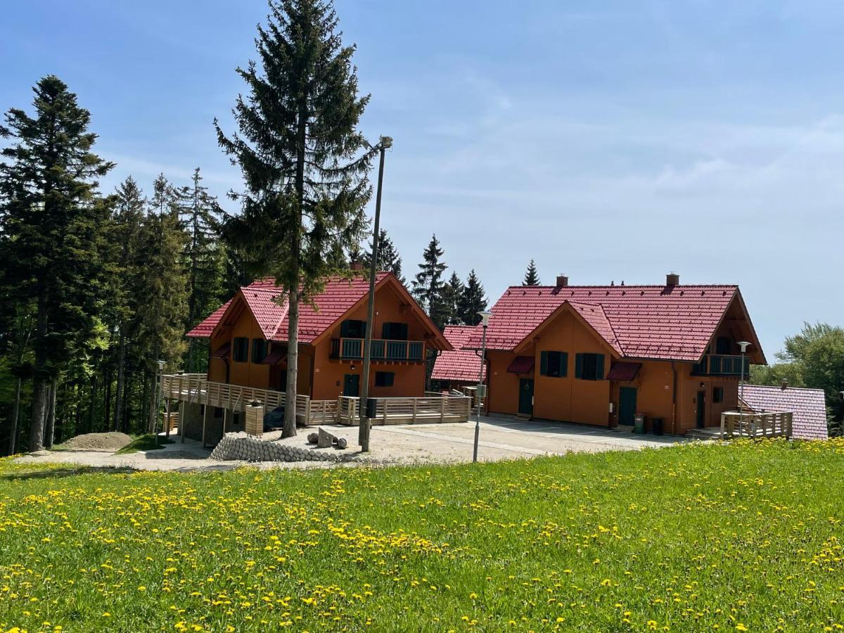 Chalet Anra Pohorje Zgornje Hoce エクステリア 写真