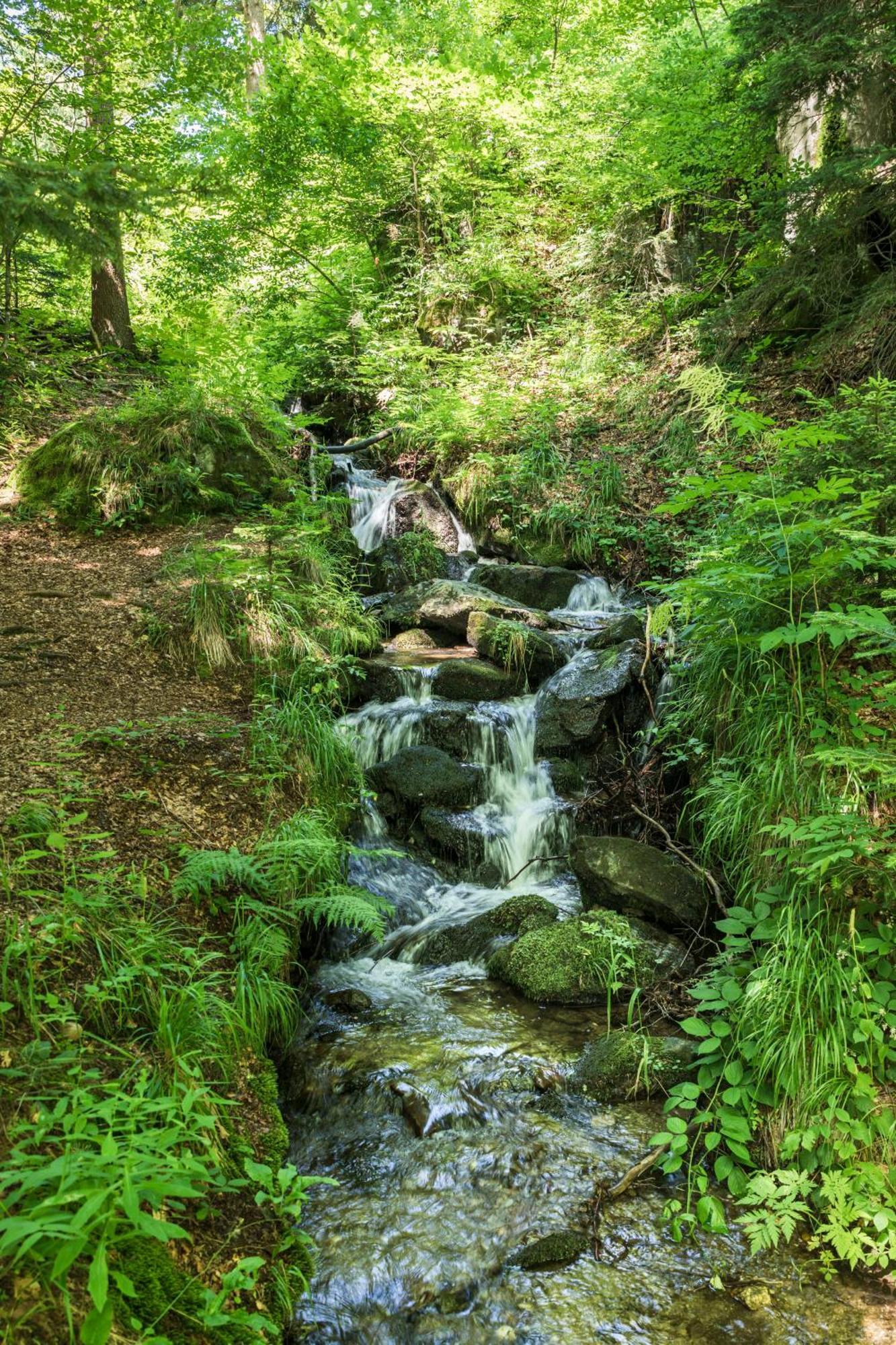 Chalet Anra Pohorje Zgornje Hoce エクステリア 写真