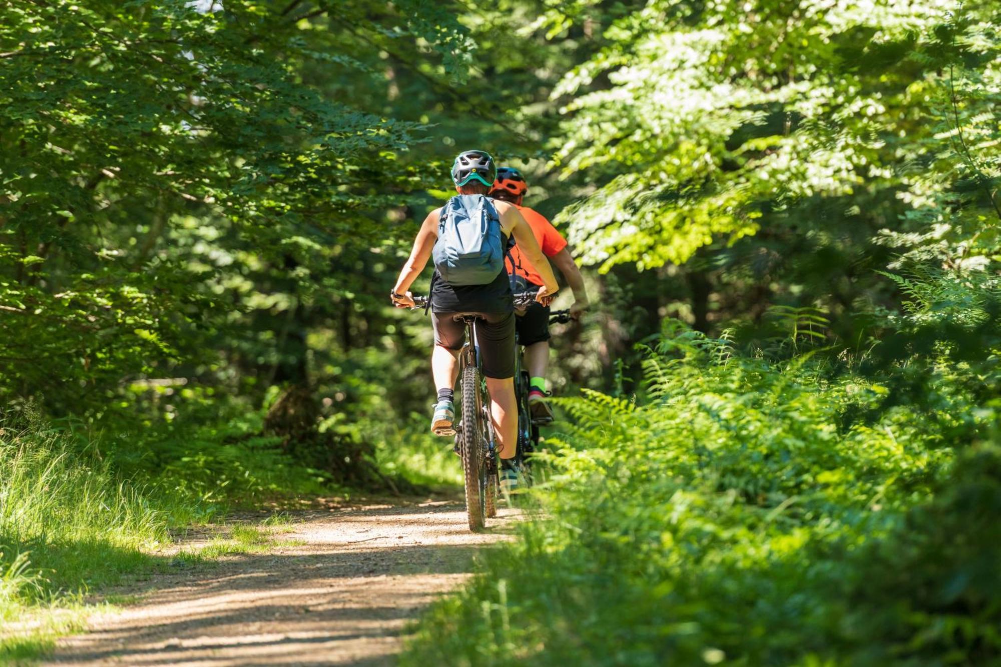 Chalet Anra Pohorje Zgornje Hoce エクステリア 写真