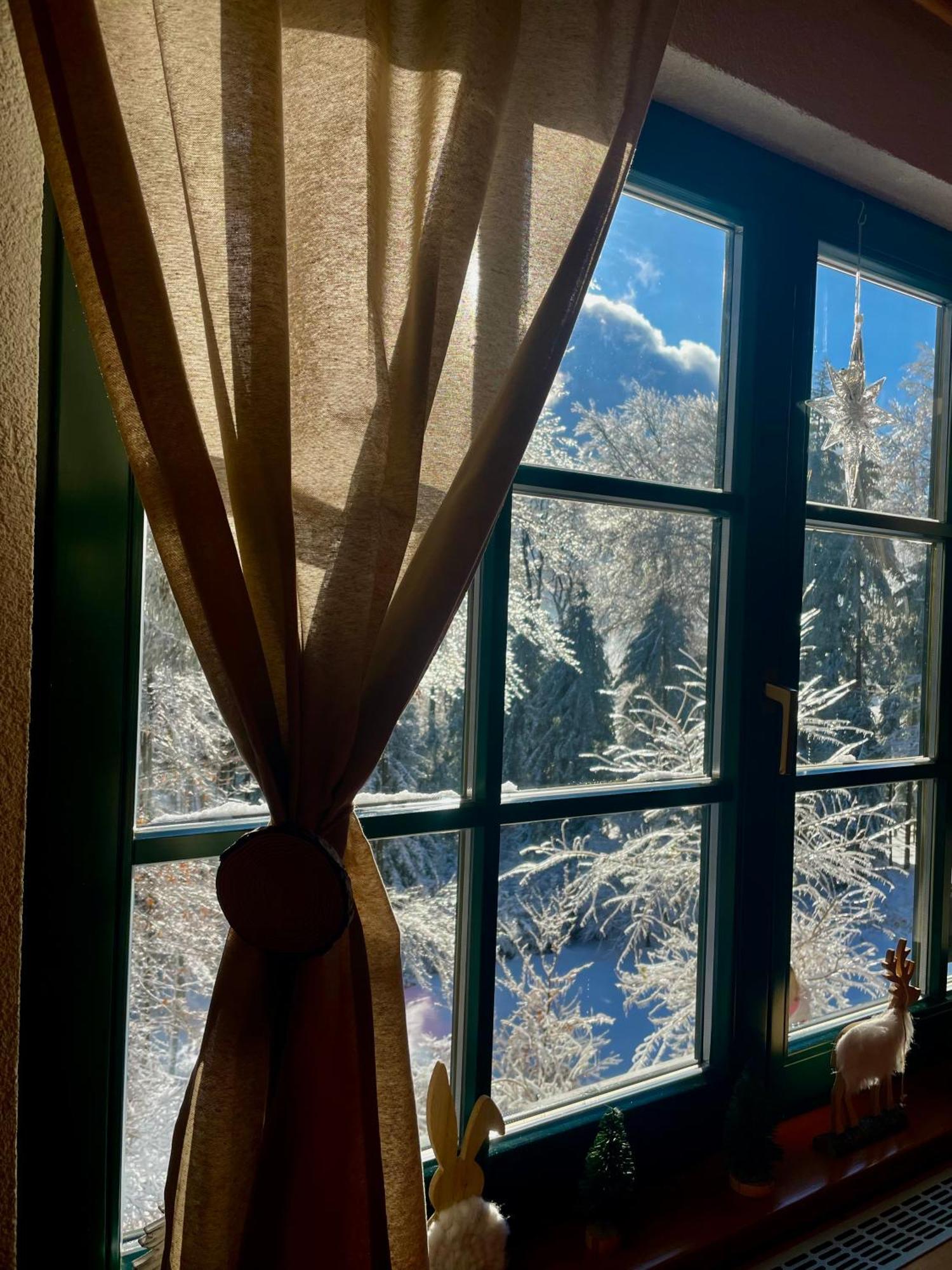 Chalet Anra Pohorje Zgornje Hoce エクステリア 写真